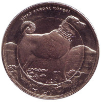 Собака. Монета 1 лира, 2010 год, Турция.