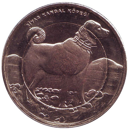 Монета 1 лира, 2010 год, Турция. Собака.