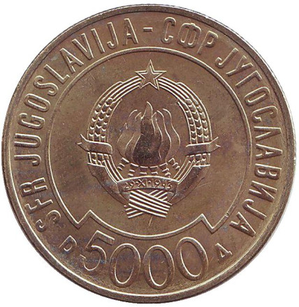 5000-2nm.jpg 5000-2nm.jpg