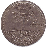 Монета 5 сентаво. 2000 год, Гватемала. Хлопковое дерево. Монета 5 сентаво. 2000 год, Гватемала. Хлопковое дерево.