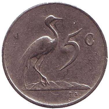 Монета 5 центов. 1965 год, Южная Африка. (South Africa). Из обращения. Африканская красавка.