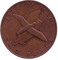 Монета 2 пенса. 1978 год, Остров Мэн. Малый буревестник. Монета 2 пенса. 1978 год, Остров Мэн. Малый буревестник.