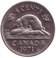 Монета 5 центов, 1971 год, Канада. Бобр. Монета 5 центов, 1971 год, Канада. Бобр.