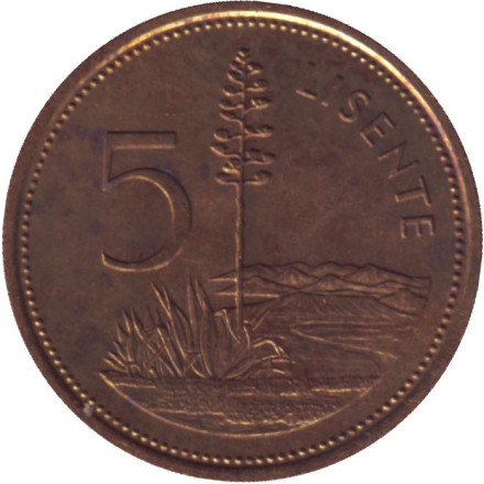 Монета 5 лисенте. 1979 год, Лесото. VF-XF. Туземное жилище на фоне леса.