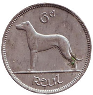 Монета 6 пенсов. 1935 год, Ирландия. Ирландский волкодав.