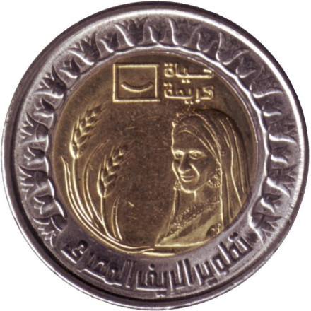 Монета 1 фунт. 2021 год, Египет. Развитие Египетской сельской местности.