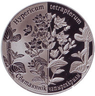 Монета 1 рубль. 2014 год, Беларусь. Зверобой четырехкрылый ("Святаяннік чатырохкрылы"). Монета 1 рубль. 2014 год, Беларусь. Зверобой четырехкрылый ("Святаяннік чатырохкрылы").