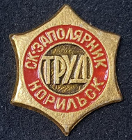 Спортивный комплекс "Заполярник". Добровольное спортивное общество "Труд". Норильск. Значок. СССР. Спортивный комплекс "Заполярник". Добровольное спортивное общество "Труд". Норильск. Значок. СССР.