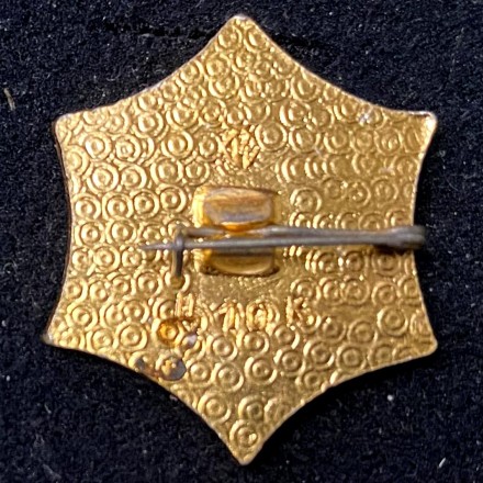 Спортивный комплекс "Заполярник". Добровольное спортивное общество "Труд". Норильск. Значок. СССР.