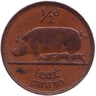 Монета 1/2 пенни. 1965 год, Ирландия. Свинья. Монета 1/2 пенни. 1965 год, Ирландия. Свинья.