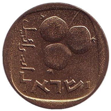 Монета 5 агор. 1968 год, Израиль. UNC. Гранат.