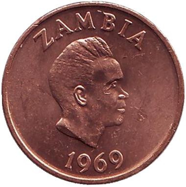 Монета 1 нгве. 1969 год, Замбия. Трубкозуб. (Аардварк).