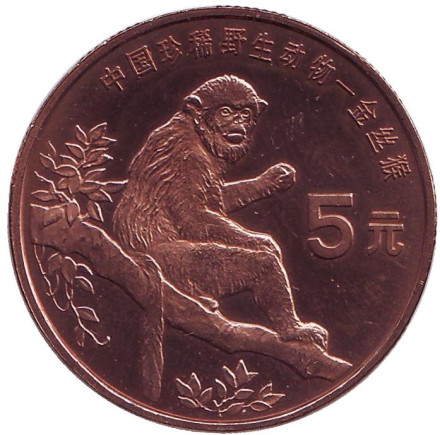 Монета 5 юаней. 1995 год, Китай. Золотая обезьяна. Серия "Красная книга".