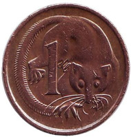 Монета 1 цент, 1981 год, Австралия. Карликовый летучий кускус. Монета 1 цент, 1981 год, Австралия. Карликовый летучий кускус.