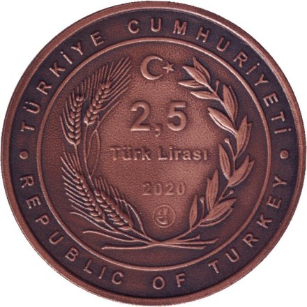 Монета 2,5 лиры. 2020 год, Турция. 100 лет Агентству "Анадолу". Монета 2,5 лиры. 2020 год, Турция. 100 лет Агентству "Анадолу".