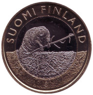 Монета 5 евро. 2015 год, Финляндия. Бобер.
