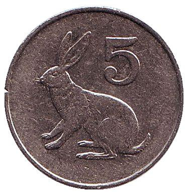 Кролик. 5 центов. 1983 год, Зимбабве.