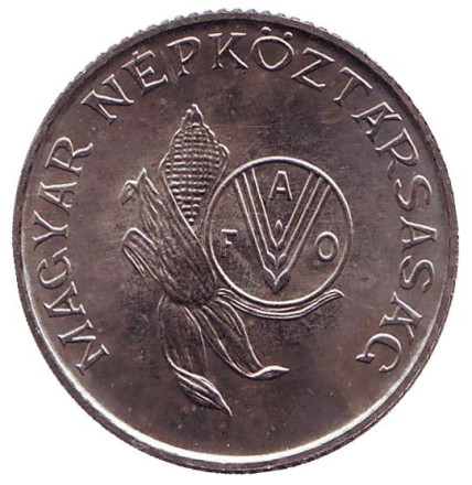 5-127y.jpg 5-127y.jpg