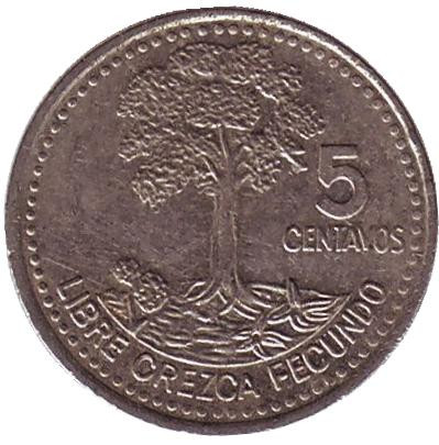 Монета 5 сентаво, 2008 год, Гватемала. Хлопковое дерево.
