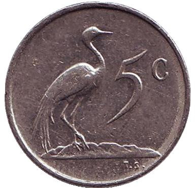Монета 5 центов. 1974 год, Южная Африка. Африканская красавка.