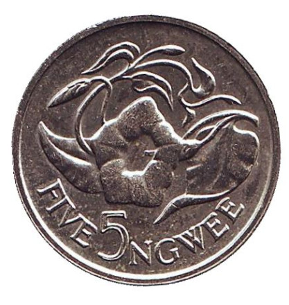 Монета 5 нгве. 1987 год, Замбия. Цветок "Дневная красавица".
