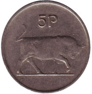 Монета 5 пенсов. 1970 год, Ирландия. Бык. Ирландская арфа. Монета 5 пенсов. 1970 год, Ирландия. Бык. Ирландская арфа.