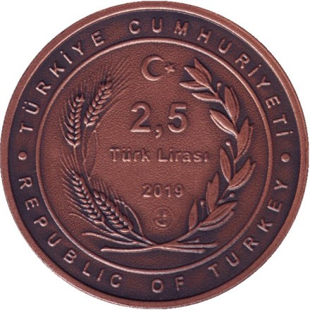 Монета 2,5 лиры. 2019 год, Турция. 100 лет созданию Министерства иностранных дел Азейбарджана. Монета 2,5 лиры. 2019 год, Турция. 100 лет созданию Министерства иностранных дел Азейбарджана.