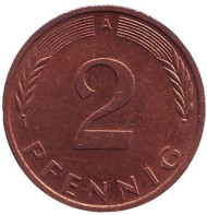 Монета 2 пфеннига. 1994 год (A), ФРГ. Дубовые листья. Монета 2 пфеннига. 1994 год (A), ФРГ. Дубовые листья.