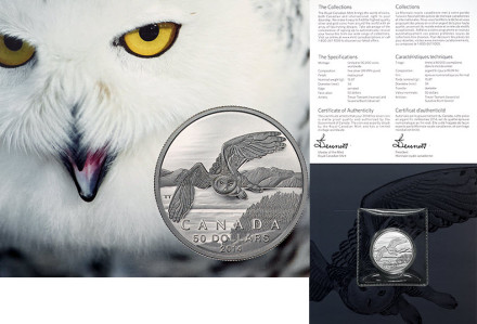 $50 for $50 Fine Silver Coin - Snowy Owl (2014).jpg
