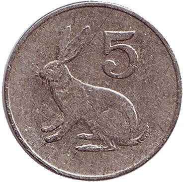 Кролик. 5 центов. 1988 год, Зимбабве.