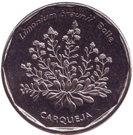 Монета 20 эскудо. 1994 год, Кабо-Верде. UNC. Кермек (лимонник) Брауна. Монета 20 эскудо. 1994 год, Кабо-Верде. UNC. Кермек (лимонник) Брауна.