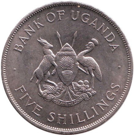Монета 5 шиллингов. 1968 год, Уганда. ФАО. Корова и телёнок. Монета 5 шиллингов. 1968 год, Уганда. ФАО. Корова и телёнок.