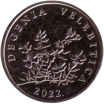Монета 50 лип. 2022 год, Хорватия. Дегения велебитская.