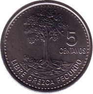 Монета 5 сентаво. 2009 год, Гватемала. Хлопковое дерево. Монета 5 сентаво. 2009 год, Гватемала. Хлопковое дерево.