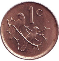 Воробьи. Монета 1 цент. 1985 год, ЮАР.