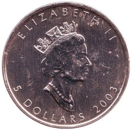 Монета 5 долларов. 2003 год, Канада. Кленовый лист. Монета 5 долларов. 2003 год, Канада. Кленовый лист.