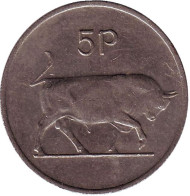 Монета 5 пенсов. 1975 год, Ирландия. Бык. Ирландская арфа. Монета 5 пенсов. 1975 год, Ирландия. Бык. Ирландская арфа.