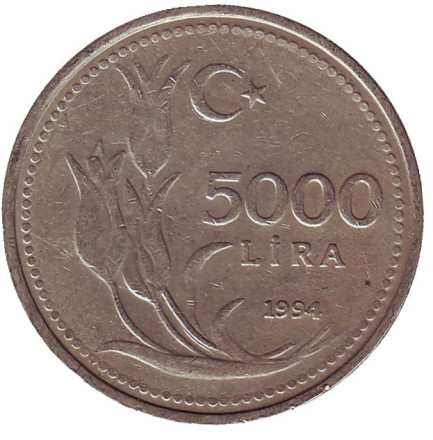 Монета 5000 лир. 1994 год, Турция.