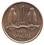 Монета 1 квача. 1989 год, Замбия. Соколы. Монета 1 квача. 1989 год, Замбия. Соколы.