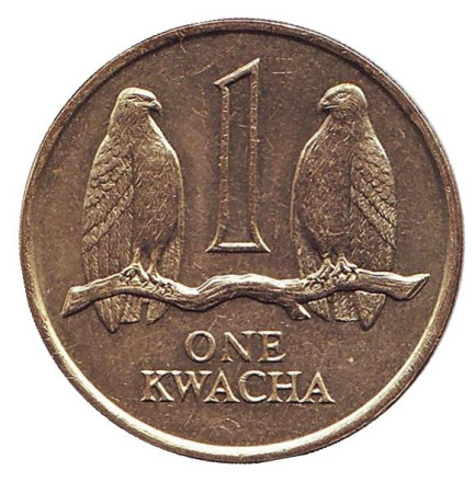 Монета 1 квача. 1989 год, Замбия. Соколы.