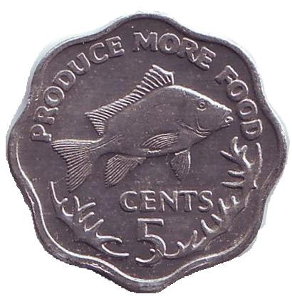 Монета 5 центов. 1977 год, Сейшельские острова. ФАО. Рыба.