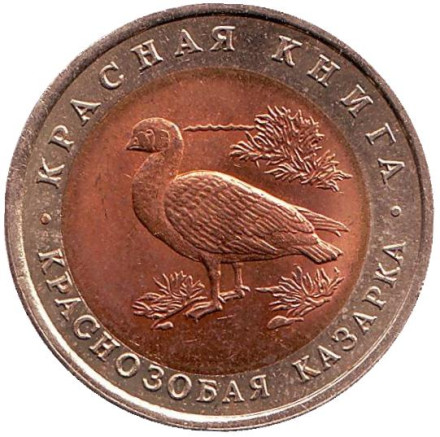 Монета 10 рублей, 1992 год, Россия. Краснозобая казарка (серия "Красная книга").