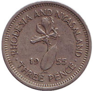 Монета 3 пенса. 1955 год, Родезия и Ньясаленд. Глориоза (Пламенная лилия).