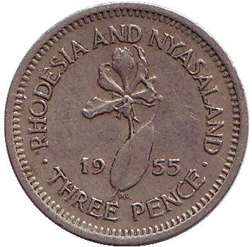 Монета 3 пенса. 1955 год, Родезия и Ньясаленд. Глориоза (Пламенная лилия).
