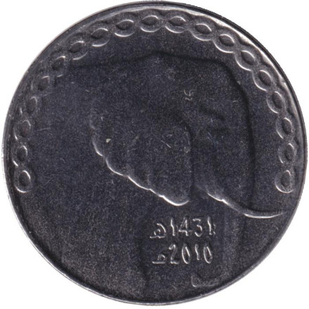 Монета 5 динаров. 2010 год, Алжир. Слон.