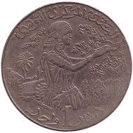 Монета 1 динар. 1990 год, Тунис. FAO. Женщина, собирающая урожай. Монета 1 динар. 1990 год, Тунис. FAO. Женщина, собирающая урожай.