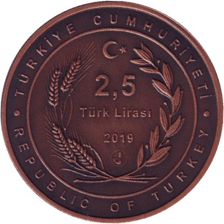 Монета 2,5 лиры. 2019 год, Турция. Ходжа Насреддин (№5).