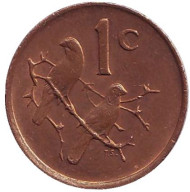 Монета 1 цент. 1989 год, ЮАР. Воробьи. Монета 1 цент. 1989 год, ЮАР. Воробьи.