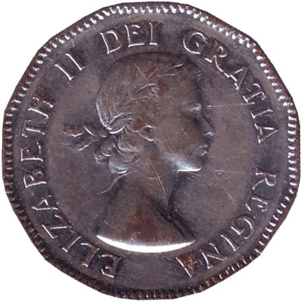 Монета 5 центов. 1953 год, Канада. Бобр.