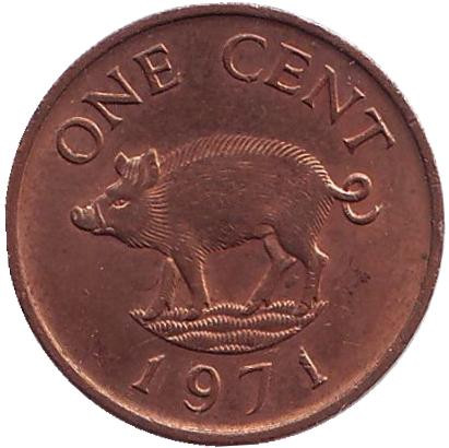 Монета 1 цент, 1971 год, Бермудские острова. Поросенок.